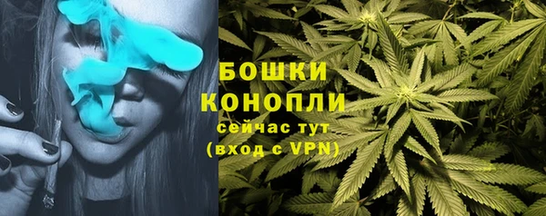 крисы Медвежьегорск