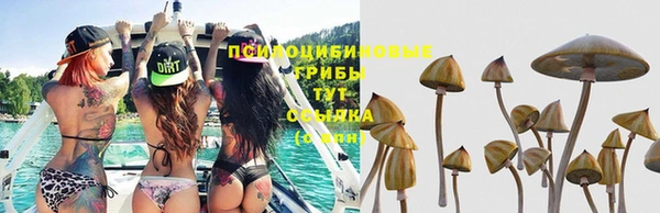круглые Мегион