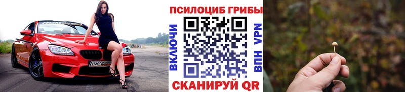 Галлюциногенные грибы прущие грибы  Смоленск 
