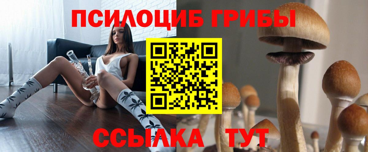 Псилоцибиновые грибы GOLDEN TEACHER Смоленск